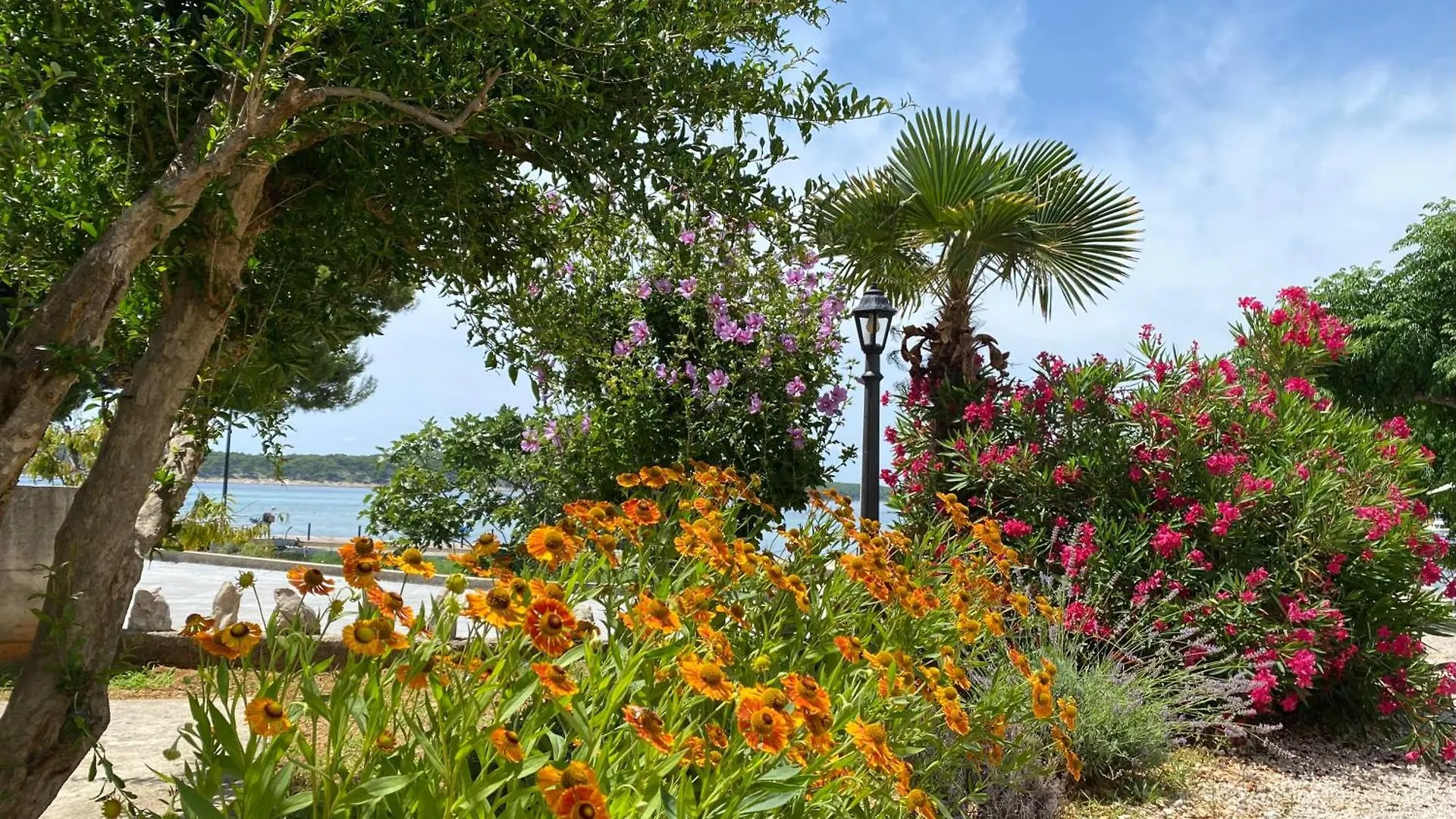 Apartments And Rooms Villa Luci Barbat na Rabu Croatia