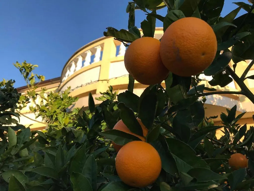 Apartments And Rooms Villa Luci Barbat na Rabu